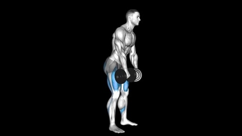 Dumbbell Romanian Deadlift (RDL)