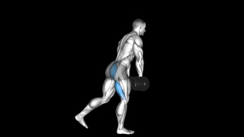 Dumbbell Single Leg Deadlift Hips