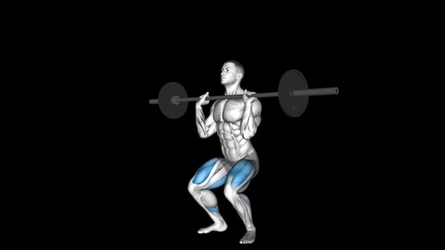 Barbell Front Chest Squat Thighs