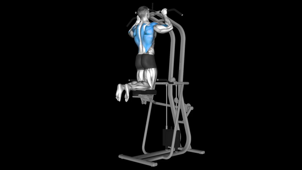 Assisted Pull Up