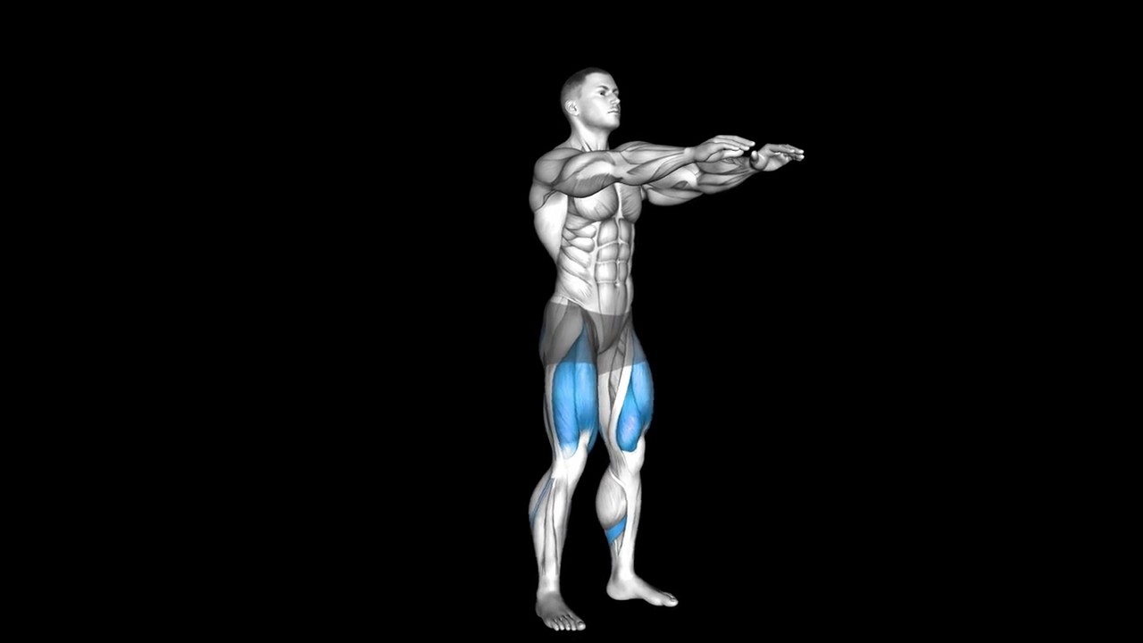 Bodyweight Squat