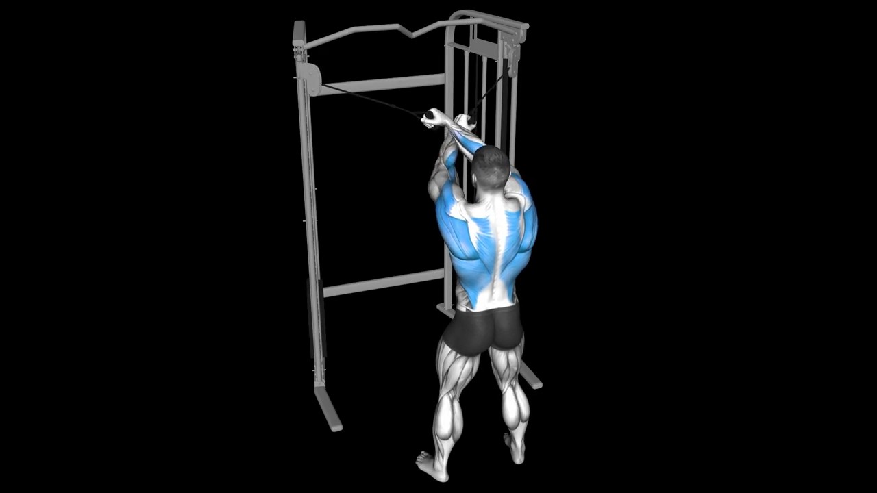 Cable Crossover Row