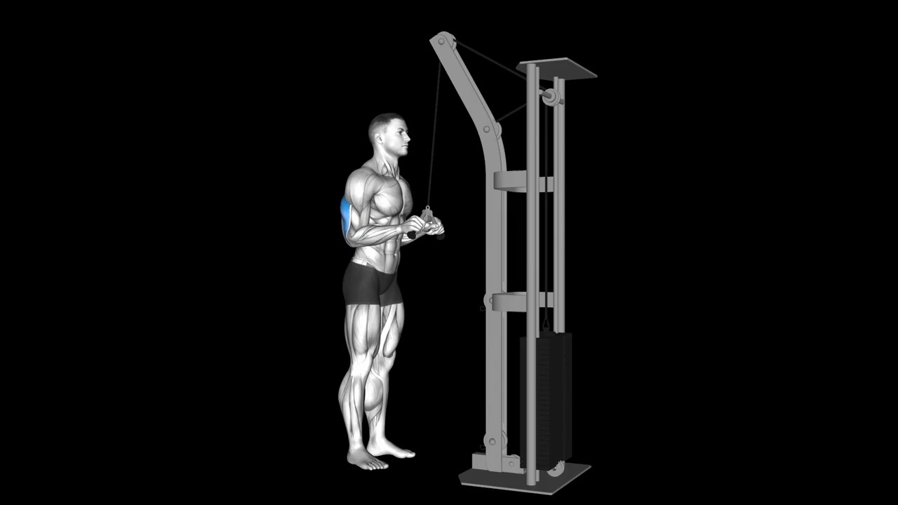 Cable Push Down