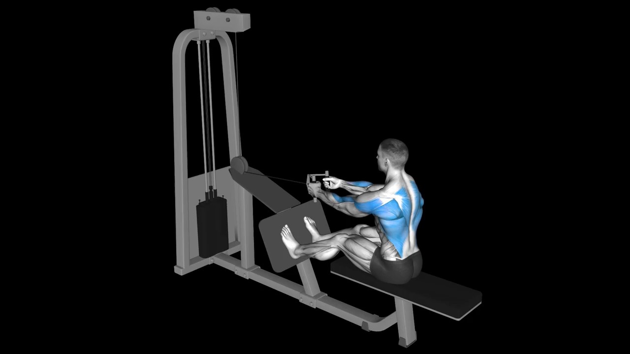 Cable Row V-bar