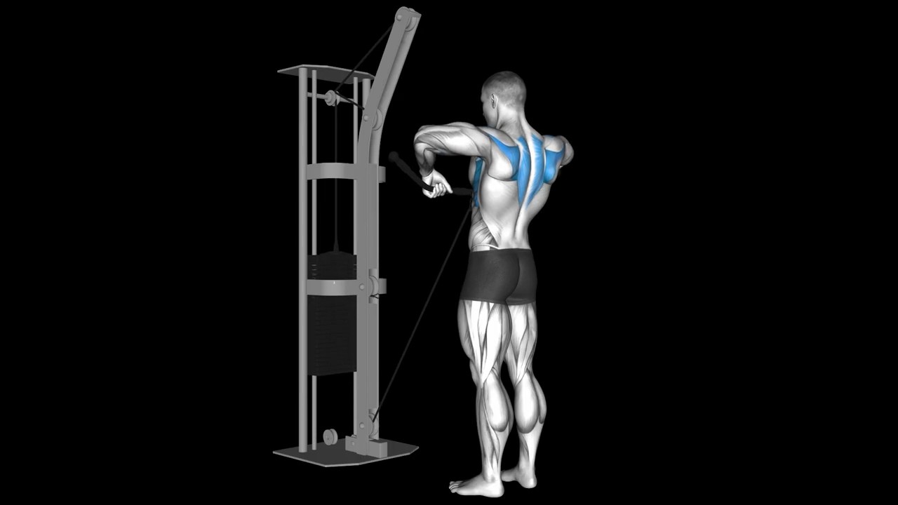 Cable Upright Row