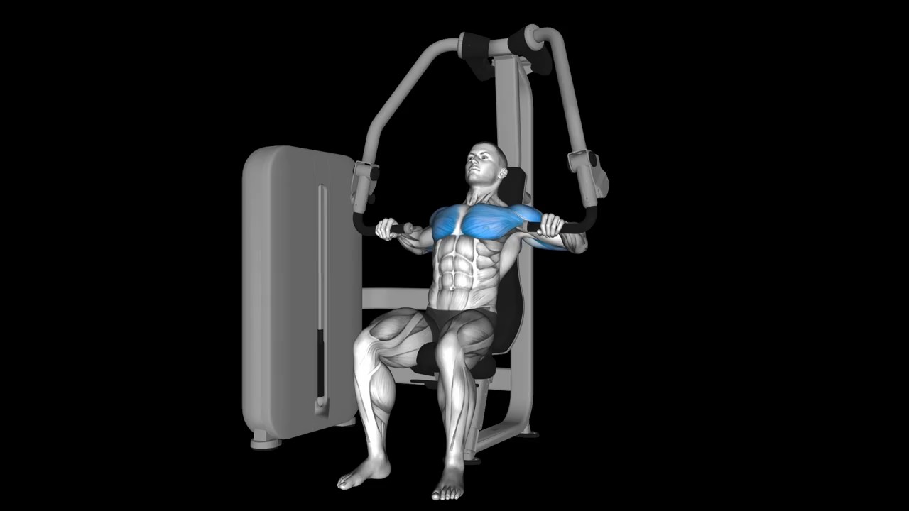Chest Press Machine