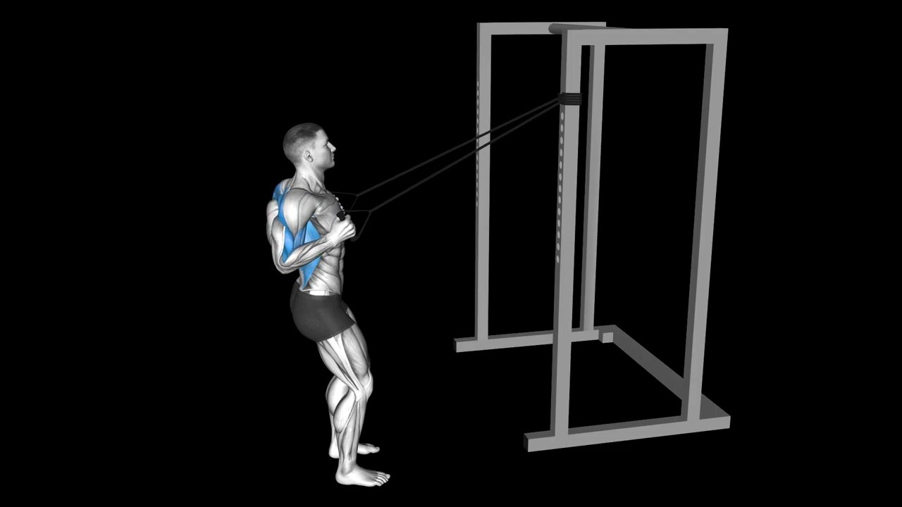 Close Grip Band High Row