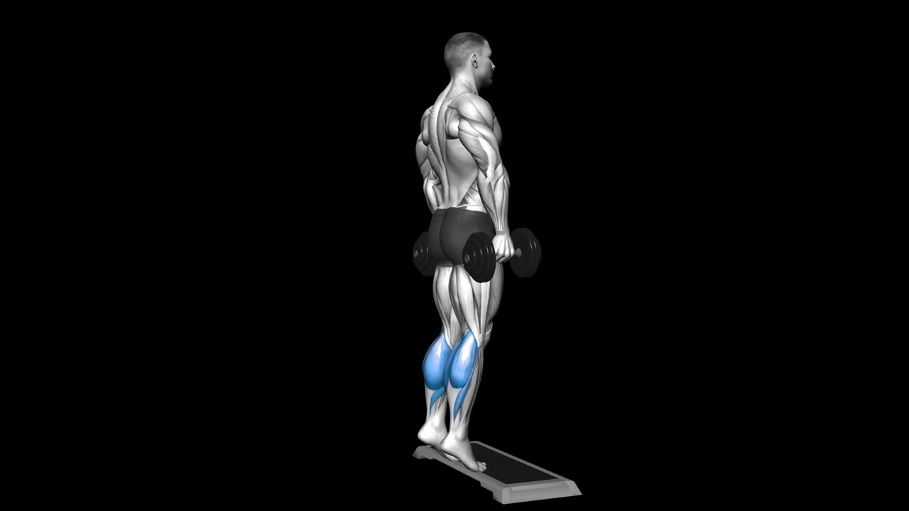 Dumbbell Calf Raise