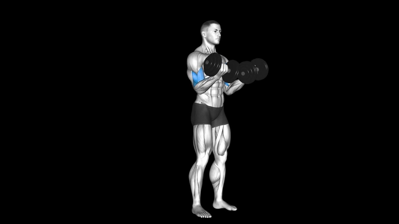 Dumbbell Curl