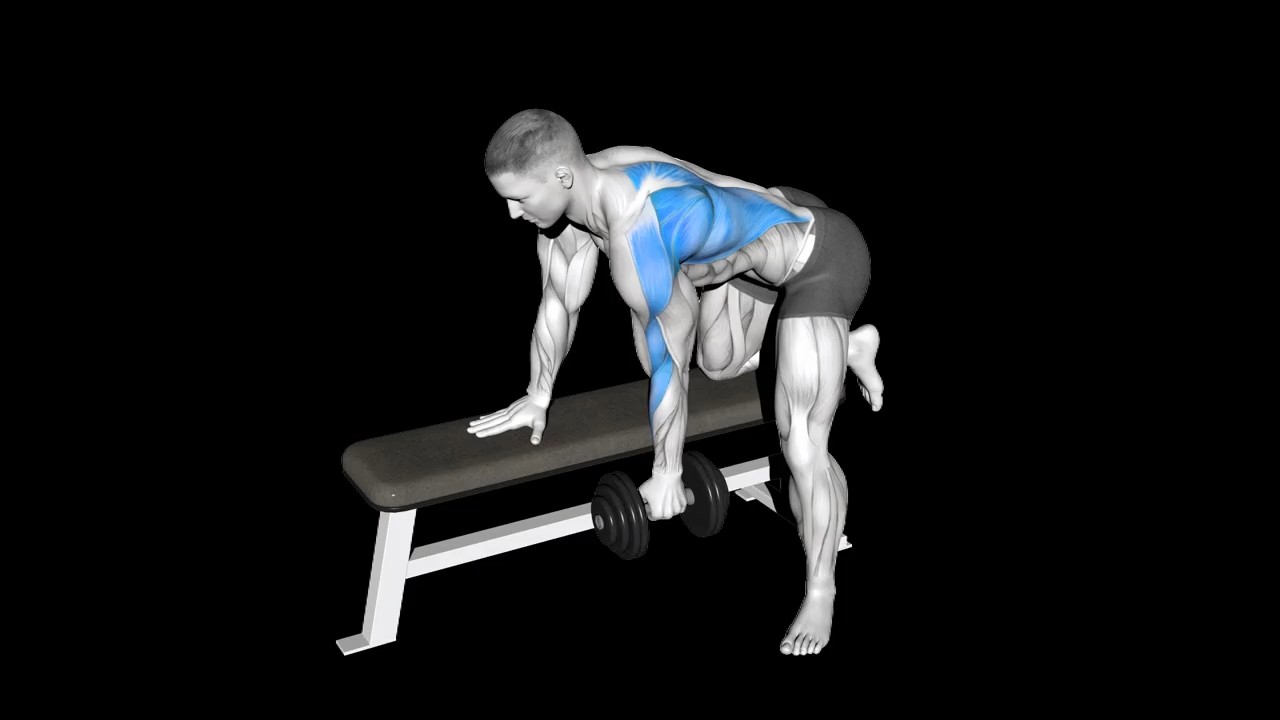 Dumbbell Row