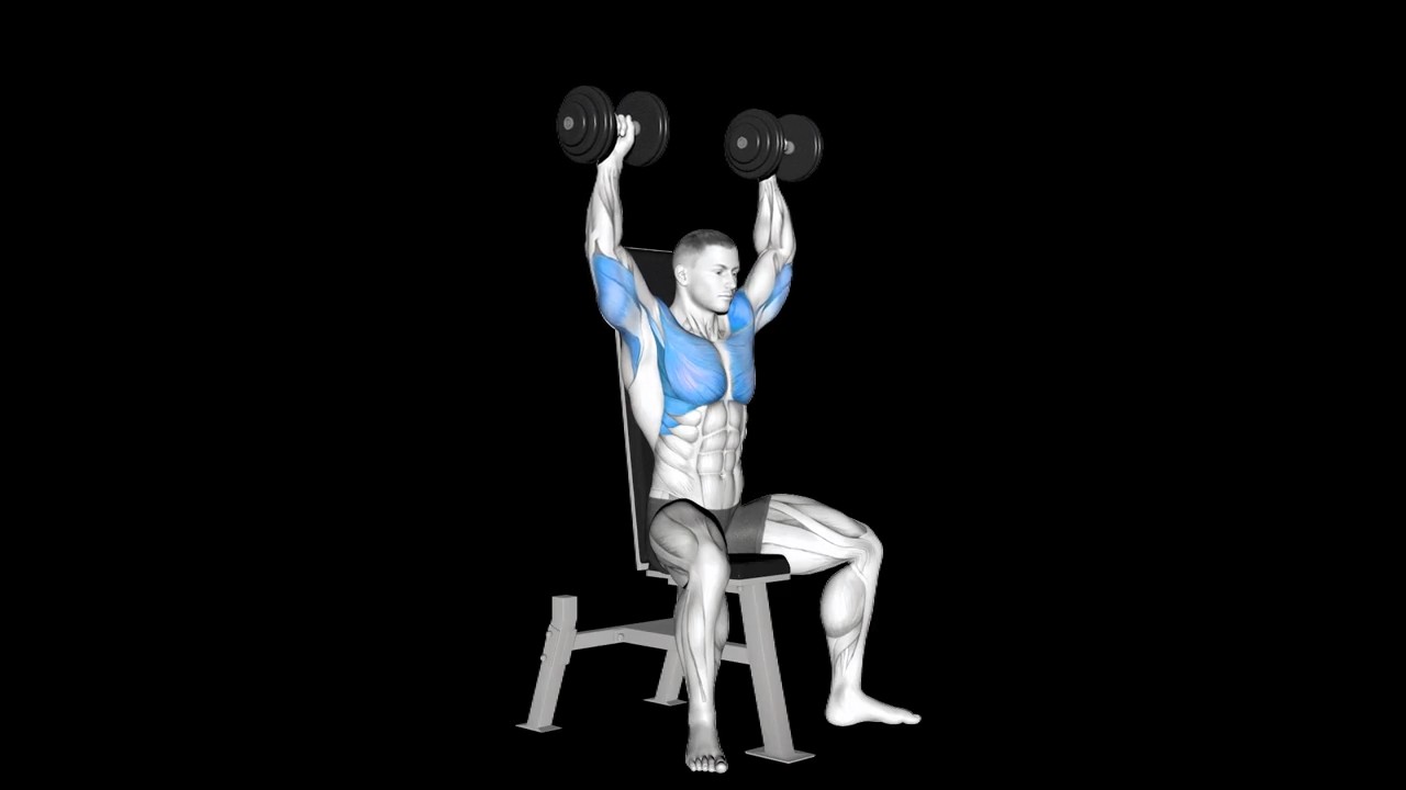 Dumbbell Shoulder Press