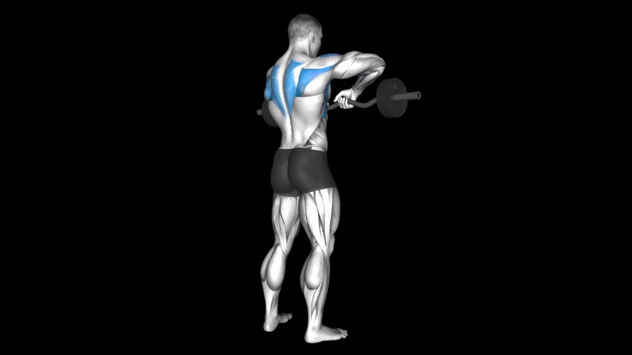 EZ Bar Upright Row