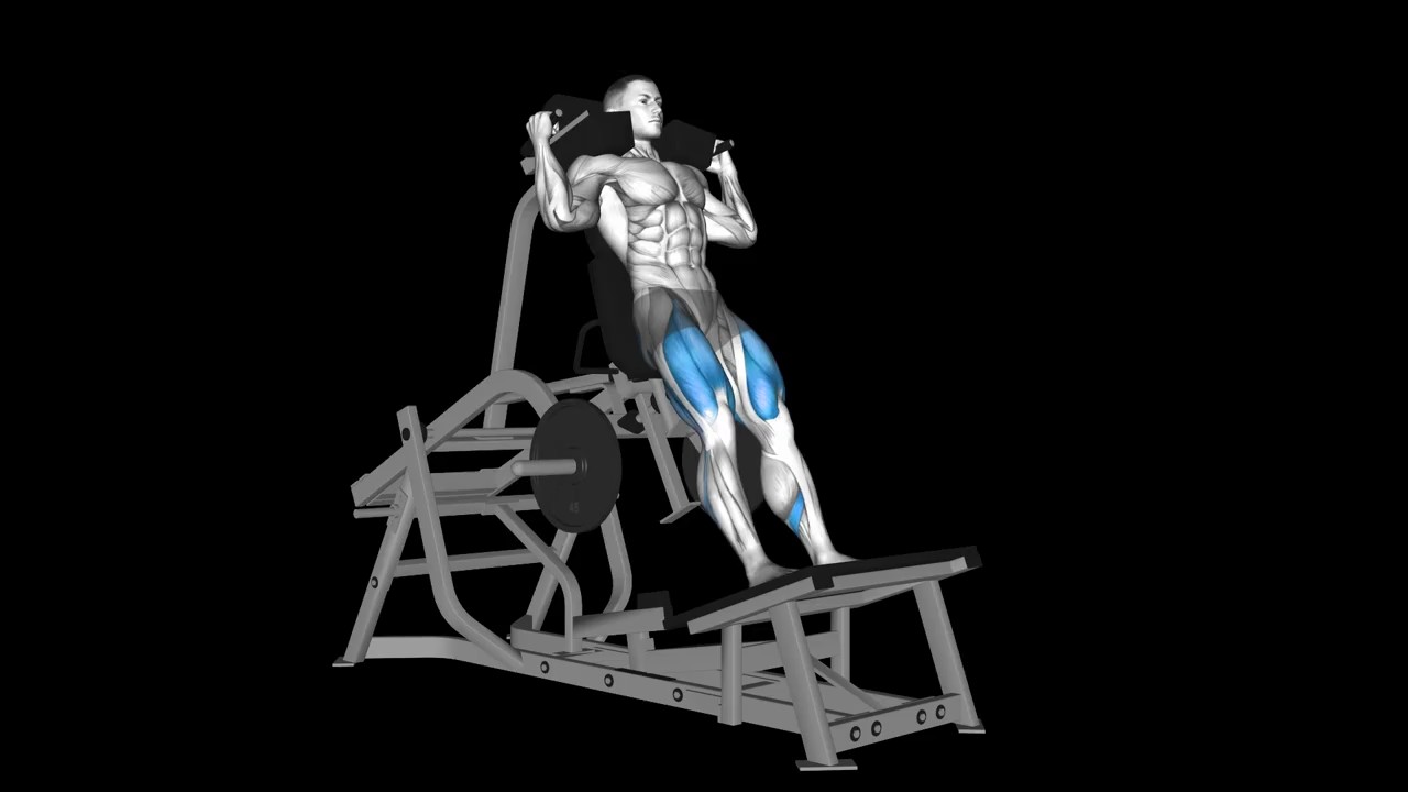 Hack Squat Machine