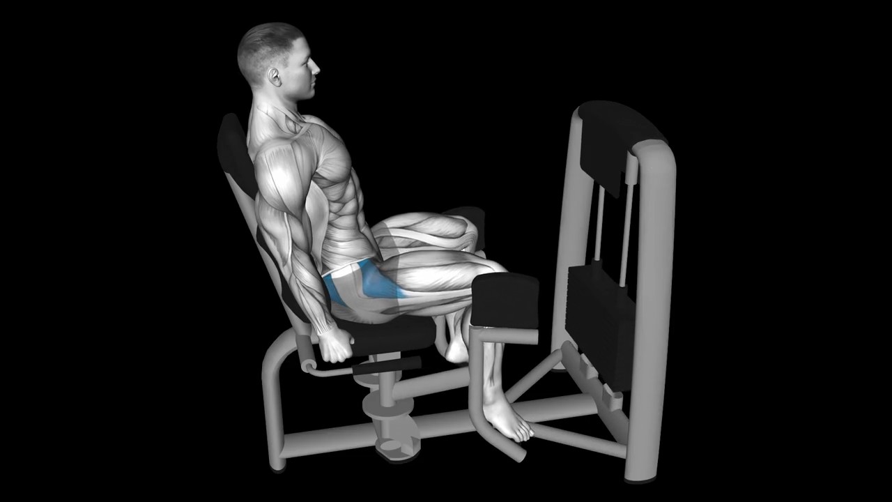 Hip Abduction Machine