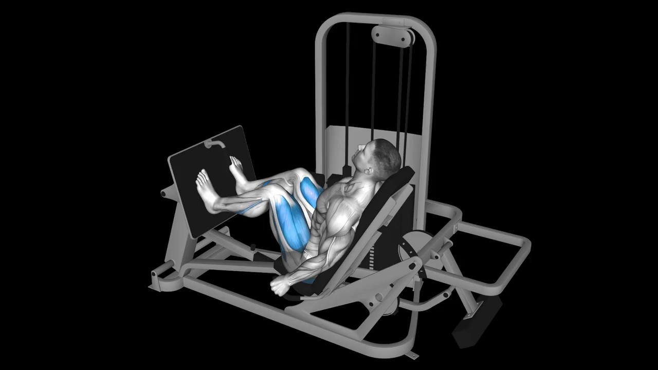 Leg Press Machine