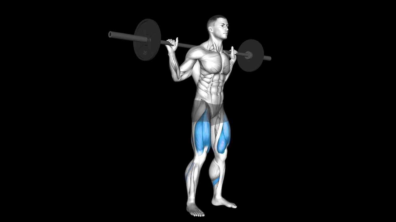 Low Bar Barbell Back Squat