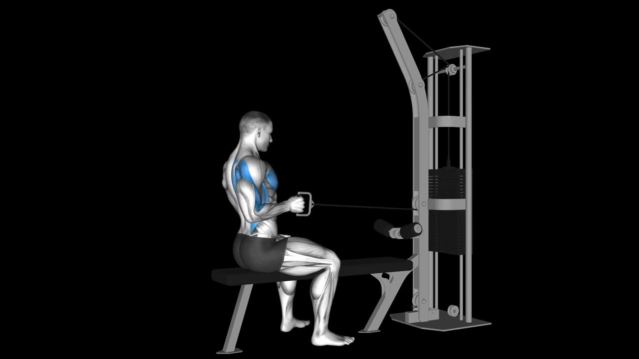 One Arm Cable Seated Row