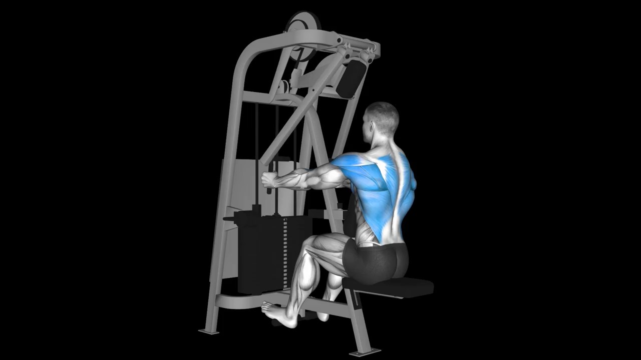 Seated Row Machine