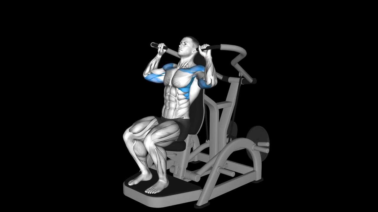Shoulder Press Machine