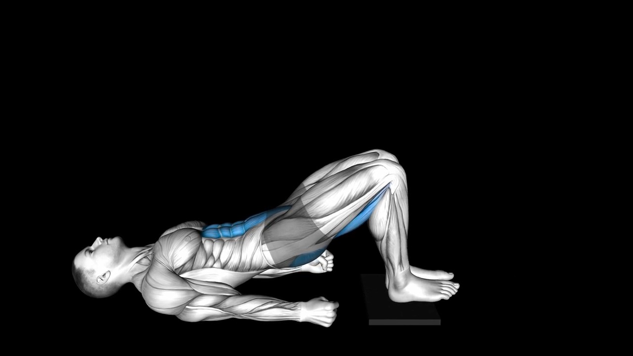 Sliding Floor Bridge Curl