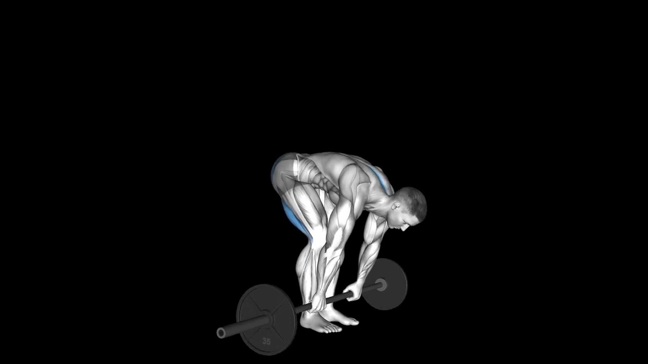 Stiff Legged Barbell Deadlift