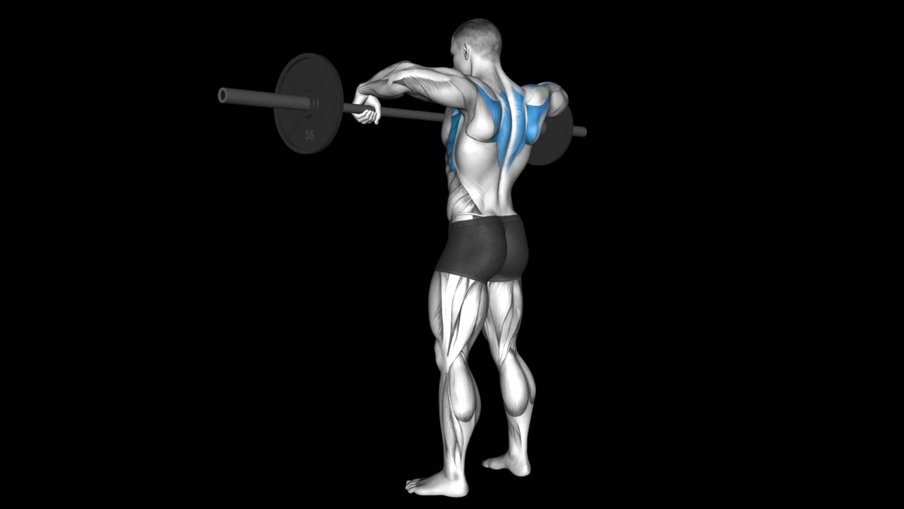 Wide Grip Barbell Upright Row